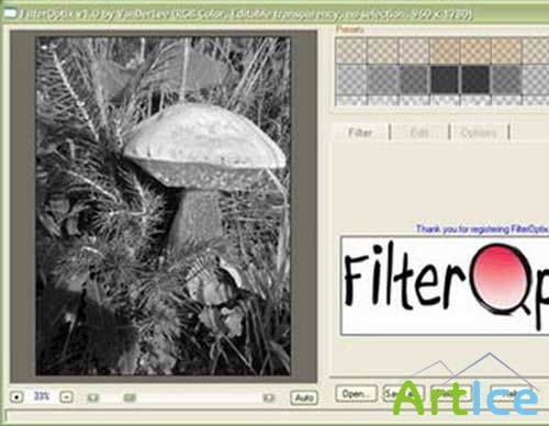 VanDerLee FilterOptix v1.0 - New Plug-In for photographers.