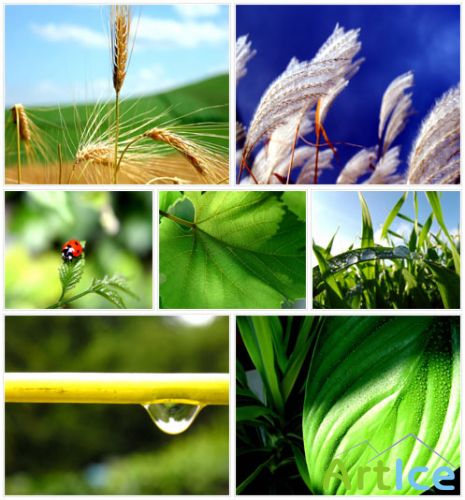 Wallpapers Desload Pack 8