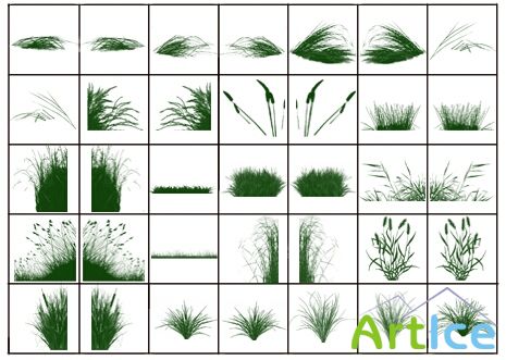 Grasslands Brushes - Photoshop