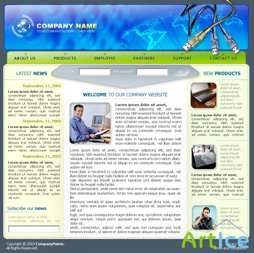 DesignLoad flash website template 3457
