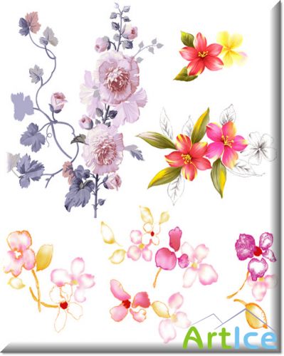 PSD  -  12  PSD  Flowerses 12