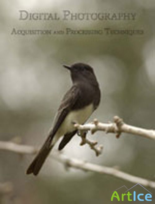 Acquisition and Processing Techniques