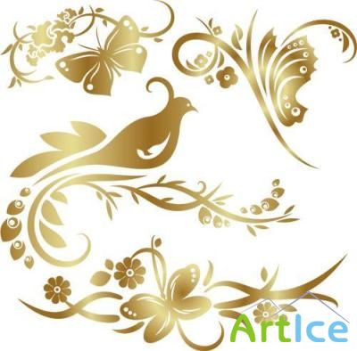 Beautyful patterns PNG