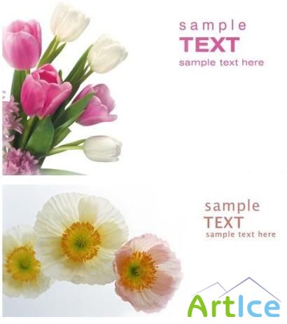 Card templates