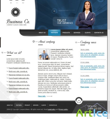 DesignLoad flash website template 5273