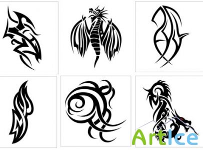 Wild Dragons Tatoo