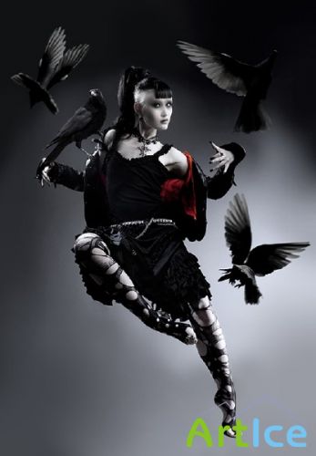    Natalie Shau