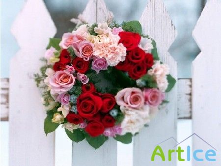 ���� / Rose