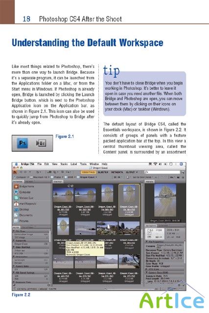 Photoshop CS4 After Shoot, M. Fitzgerald