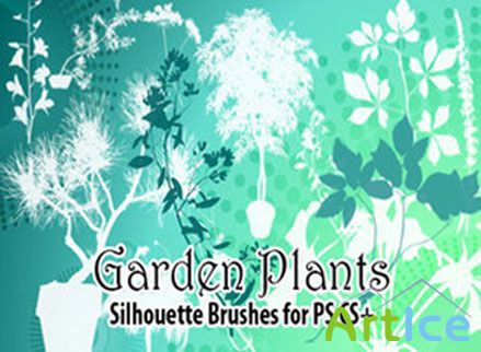 Garden Plants Brushes