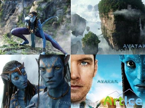  Avatar ( )