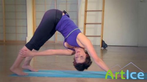  :      / Stretch And Joint Mobility Therapy / 2007 / 442  / DVDRip