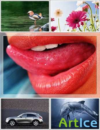 Wallpapers - SXGA Web Pack#4