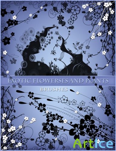 Brush Photoshop - Exotic flowerses and plants