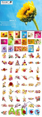 Izosoft - Flowers 3 (IZ114)