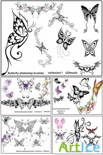   Photoshop -   