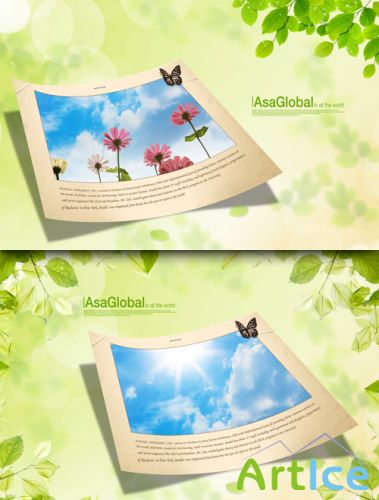 Sources - Photograph on natural background