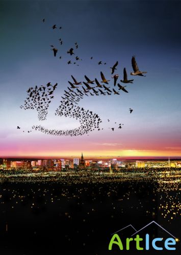 Birds over a night city psd