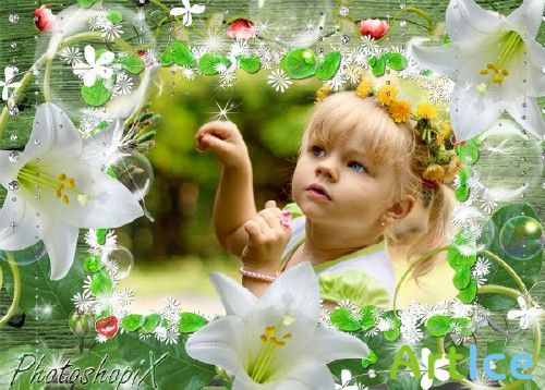   Photoshop      