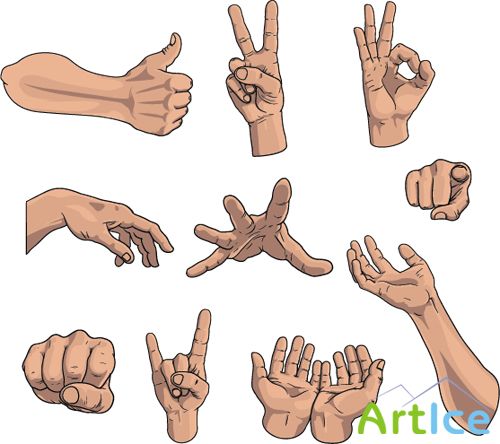 Hand Gestures Vector