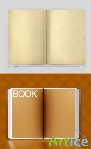 The old book papers