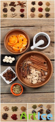 Photo Cliparts - Spices