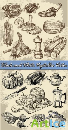 Black and White Vegetables Vector