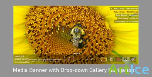 ActiveDen - Media Banner with Drop Down Gallery Navigation