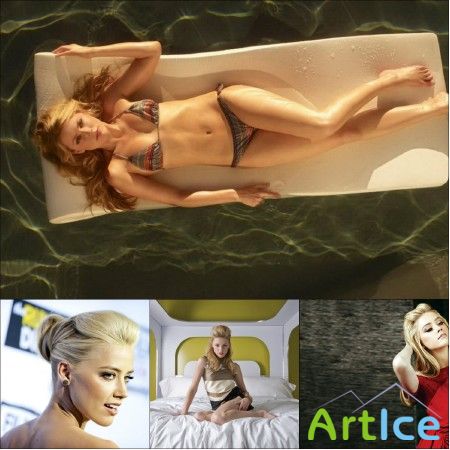      Amber Heard /  