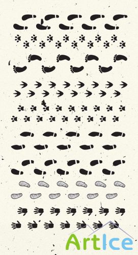 Designtnt - Footprints Brush Set