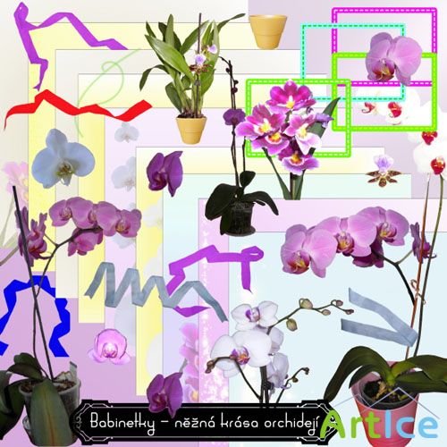 Nezna Krasa Orchideji PNG and JPG Files