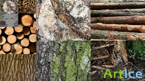 Forest Trees Texture Set JPG Files