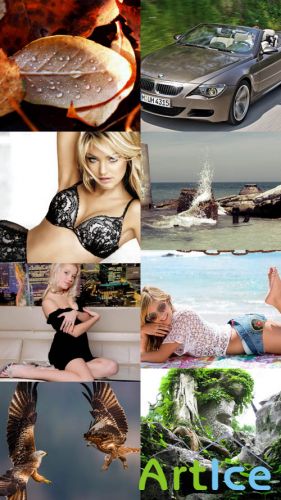 Collection of Different Wallpapers Set 64