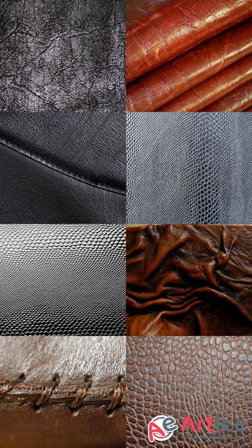 Different Skin Textures JPG
