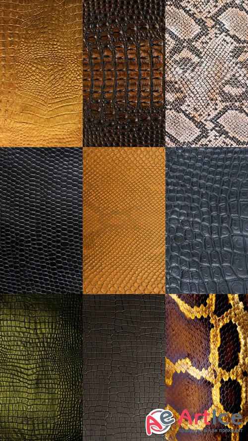 Snake Textures 2 JPG Files