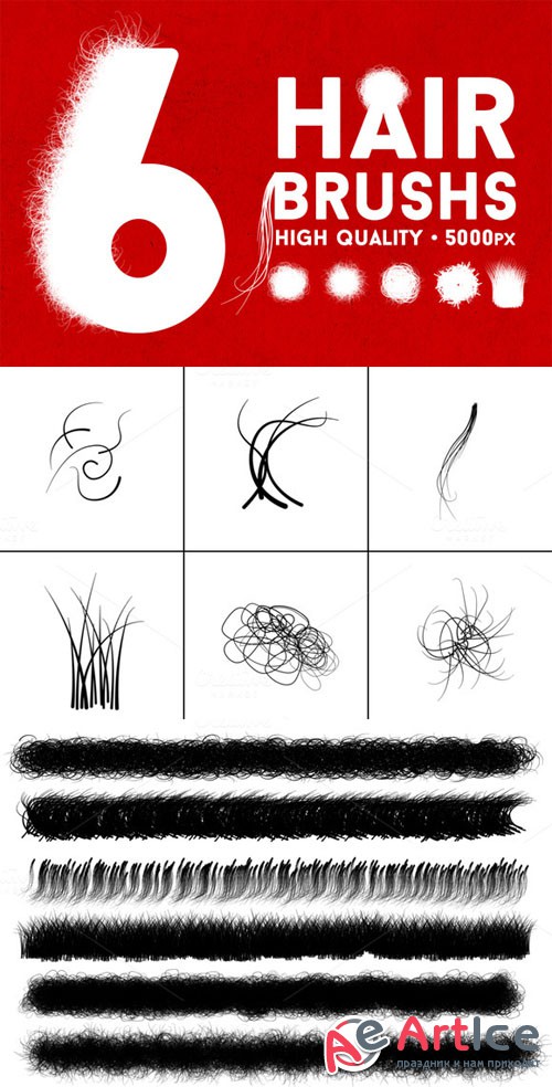 CreativeMarket - The Hair Strand - Photoshop Brush