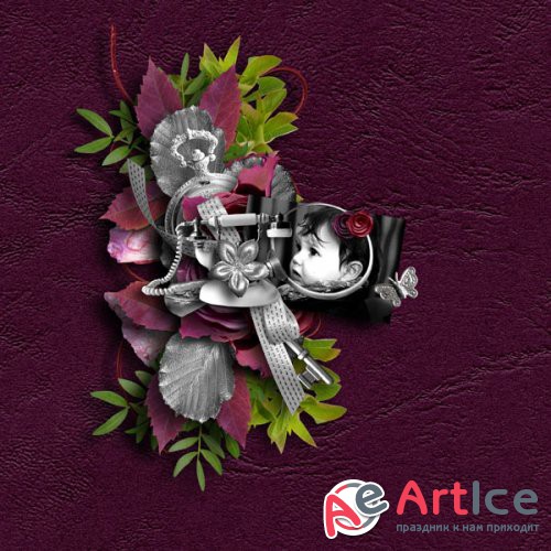 ������������� �����-�������� - Chic silver 