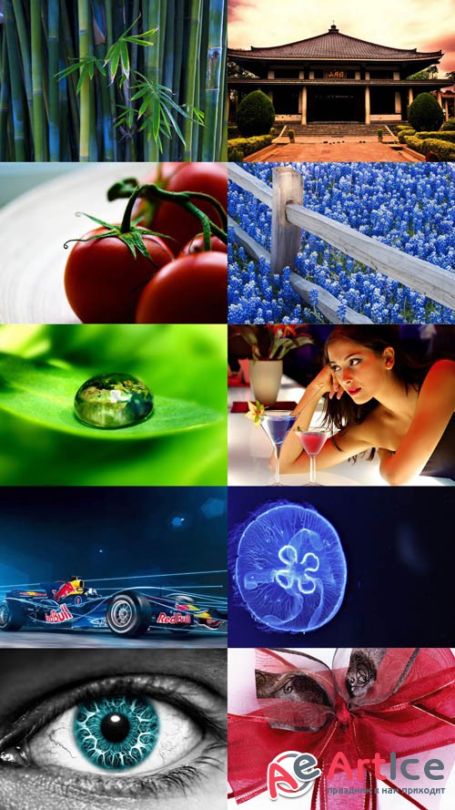 Collection of Different Wallpapers Set 151