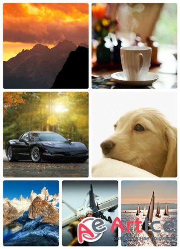 Wallpapers Collection - Pak #11