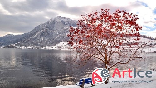 Wallpapers Beautifull World #298