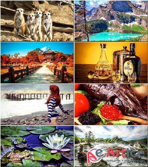 Wallpapers Mixed Collection #260