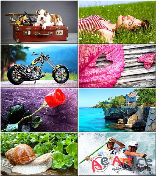 Best Mixed Wallpapers Pack #106