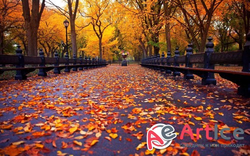Wallpapers Collection Mixed #225