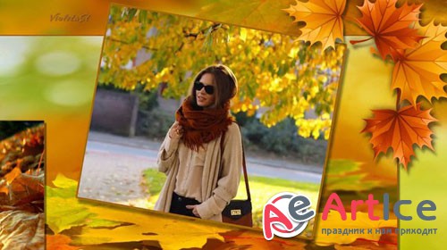    ProShow Producer -  