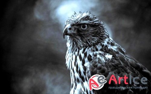 Wallpapers Mixed Collection #175