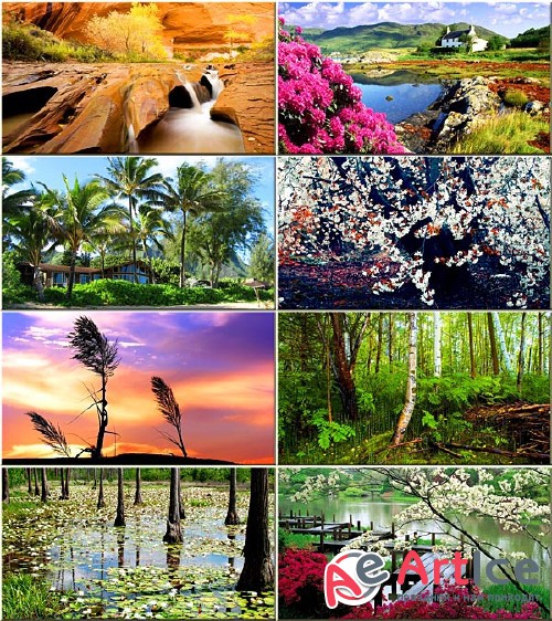 Wallpapers Nature #26