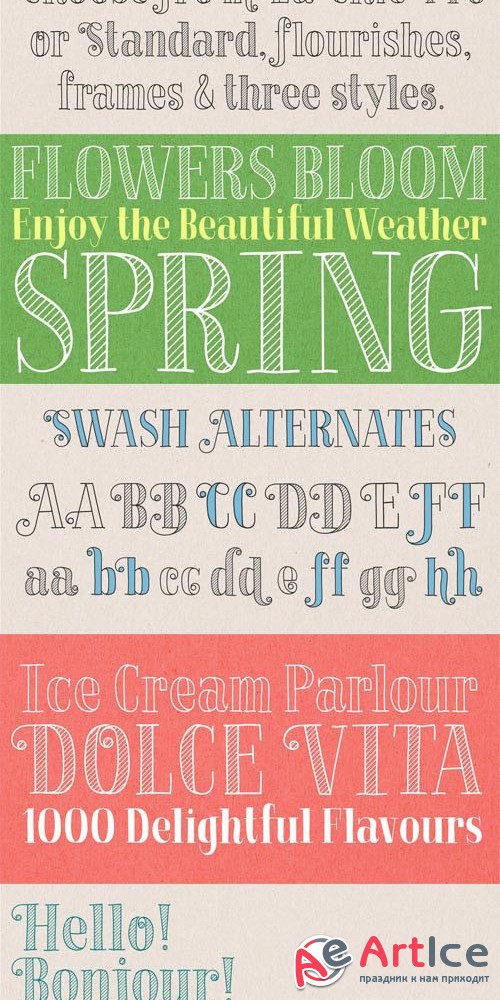 Creativemarket - La Chic Solid Pro 29006