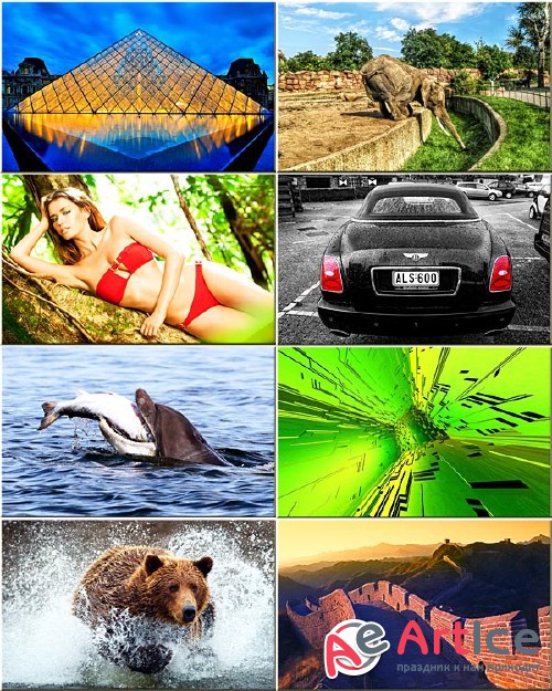 Best Wallpapers Mixed Pack #271