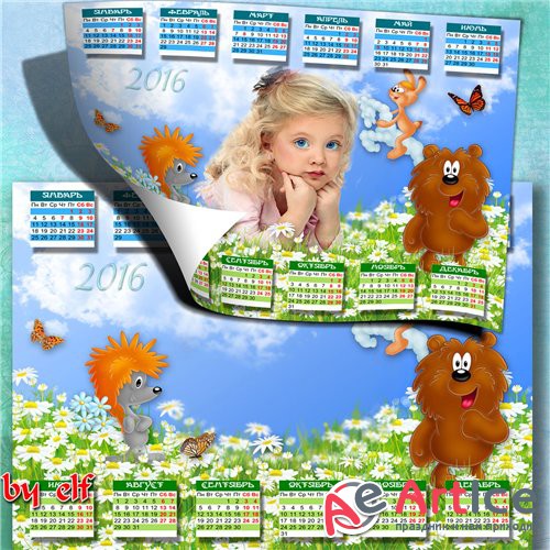    2016     - ,  