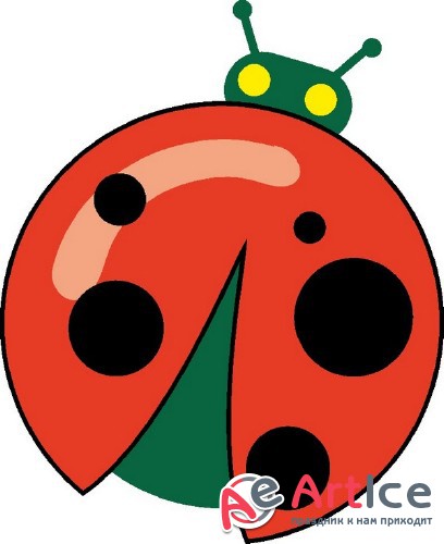   (  )